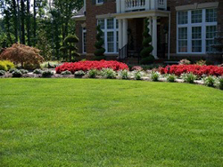 Calvert Landscape contractor 1