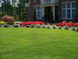 Lexington Park Landscaping